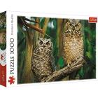 Puzzle 1000 - Owls
