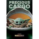 Star Wars The Mandalorian (Precious Cargo)
