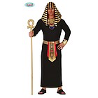 Costume Uomo Re Egizio Faraone Egiziano Taglia M (86613)