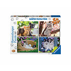 Piccoli gatti Puzzle 4x100 Bumper Pack (5623)