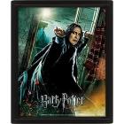Quadro 3D Harry Potter Snape