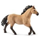 Stallone Quarter Horse (2513853)