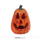 Zucca 20 Cm (26654)