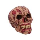 Rotting Zombie Skull Ornament 17cm