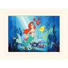 Little Mermaid - Ariel (Stampa 30X40 Cm)