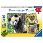 Puzzle 3x49 pz Panda, tigre e leone