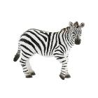 Zebra (63675)