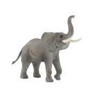 Elefante Africano (63685)