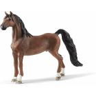 Cavallo Castrone America Saddlebred (2513913)