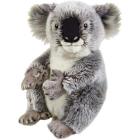 Koala Medio (770708)