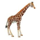 Safari - Giraffa (63710)