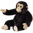 Scimpanze' Medio (770713)
