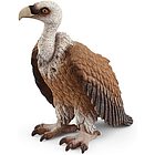 Avvoltoio (2514847)