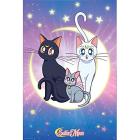 Sailor Moon Lun, Artemis & Diana Poster (91,5x61) (ABYDCO792)