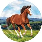Creative Converting: Plt9 Ss 12/8Ct Horse And Pony
