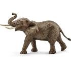 Elefante Africano Maschio (14762)