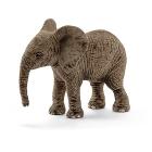 Cucciolo di Elefante Africano (14763)