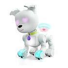 Dog-E Cane Robot