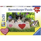 Puzzle 2x24 pezzi gatti (078011)