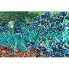 Van Gogh: Les Irises Maxi Poster