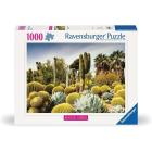 Puzzle Huntington Desert Garden California 1000 pezzi (12000850)