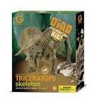 Triceratopo Scheletro