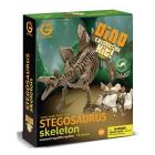 Stegosauro Scheletro