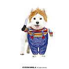 Costume Per Cani Bambola Malvagia Taglia S (76900)