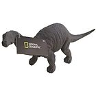 Dinosauro Diplodocus National Geographic