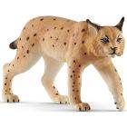 Lince (2514822)