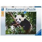 Il panda - Puzzle 500 pezzi (16989)