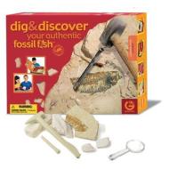 Dig & Discover - Authentic Fossil Fish