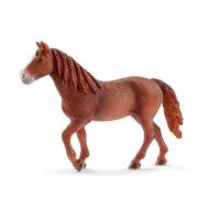 Giumenta Morgan Horse (2513870)