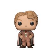 Harry Potter - Gilderoy Lockhart Allock