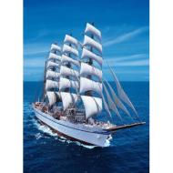 Puzzle 1000 pezzi Sailing Ship (39061)