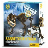 Ice Age Excavation Kit - Tigre dai denti a sciabola scheletro