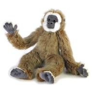 Gibbone Grande
