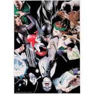 Dc Universe  Batman Villains Puzzle