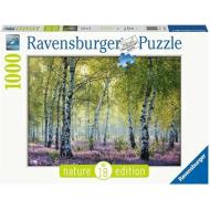 Bosco di betulle - Puzzle 1000 pezzi - Nature edition (12000117)