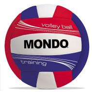 Pallone Volley Misura 5 Training (13135)