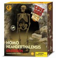 Cave Man Excavation Kit - Homo Neanderthalensis Scheletro