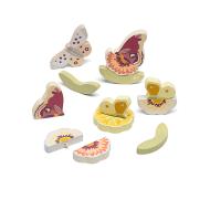 Mix & Match Fiori & Farfalle (15 pz)  (83138)