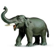 Elefante indiano (14144)