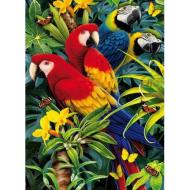 Majestic Macaws 1000 pezzi Magic Puzzle 3D (39188)
