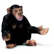 Scimpanzé femmina (14191)