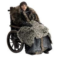 Got 12" Bran Stark Reg Af