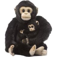 Scimpanzé madre e cucciolo