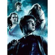 Harry Potter - Puzzle 2 x 500 pezzi (12000228)