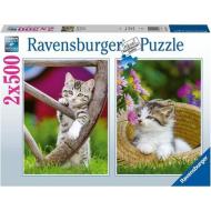 Gattini - Puzzle 2 x 500 pezzi (12000232)