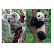 Panda e koala - Puzzle 2 x 500 pezzi (12000241)
